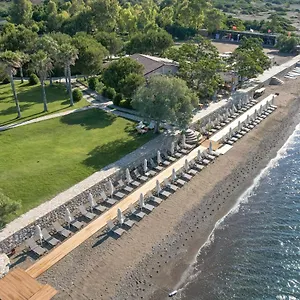 Surf Otel